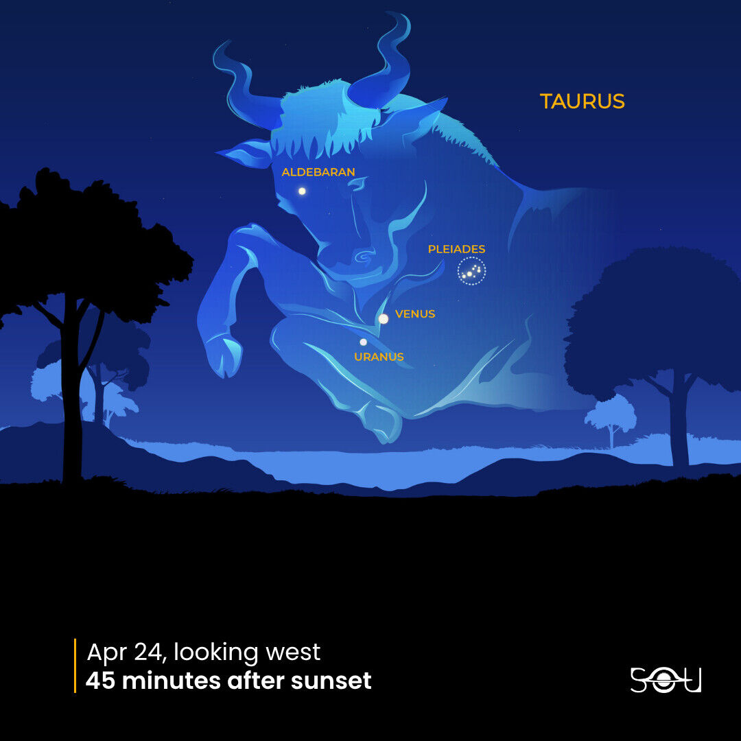 Venus passes close to Uranus near the Pleiades in Taurus on April 24, 2026, visible 45 minutes after sunset looking west.