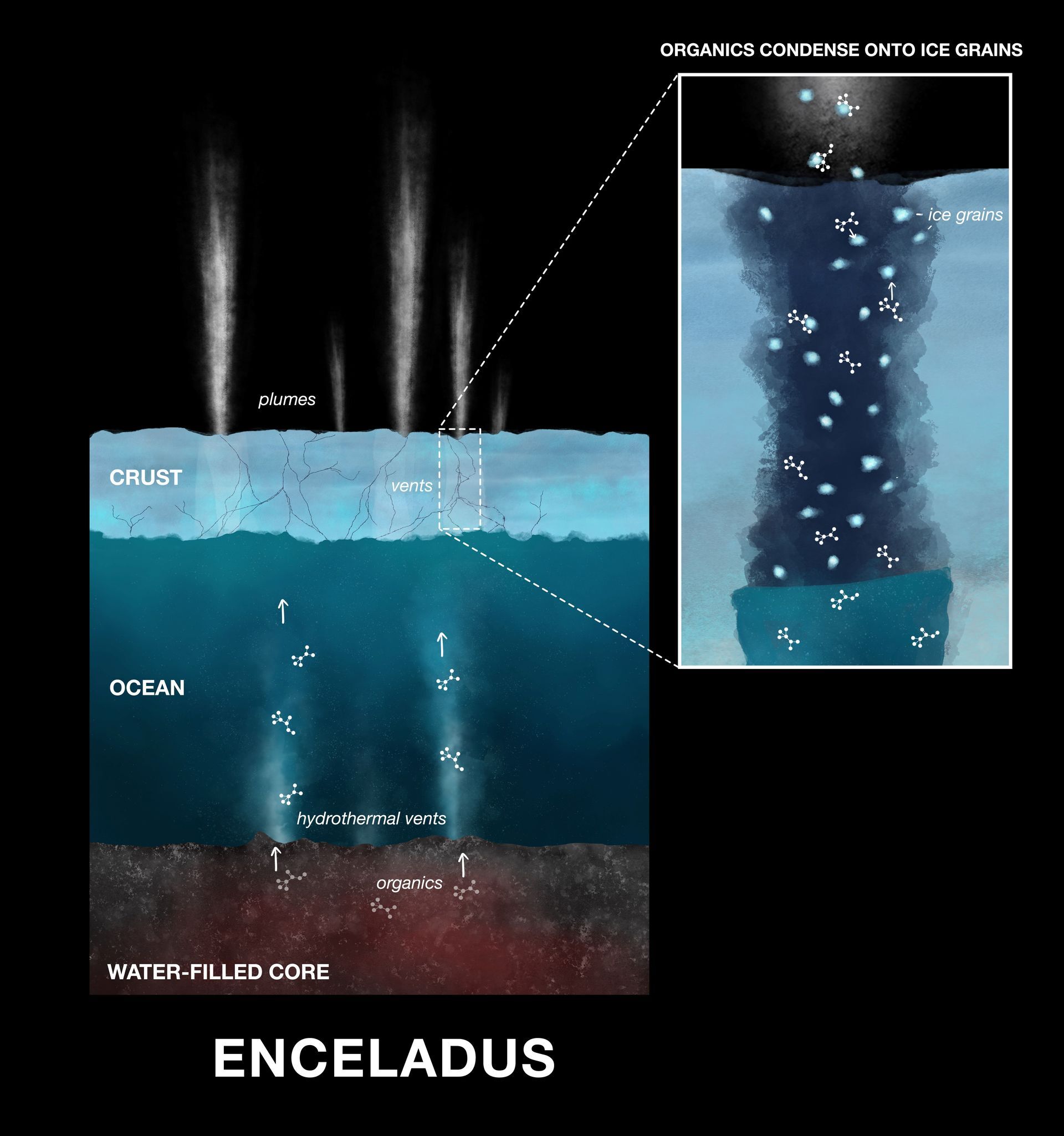 Enceladus Plumes