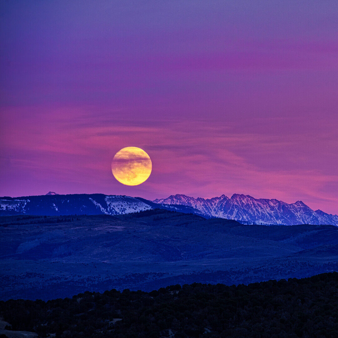 Full Pink Moon