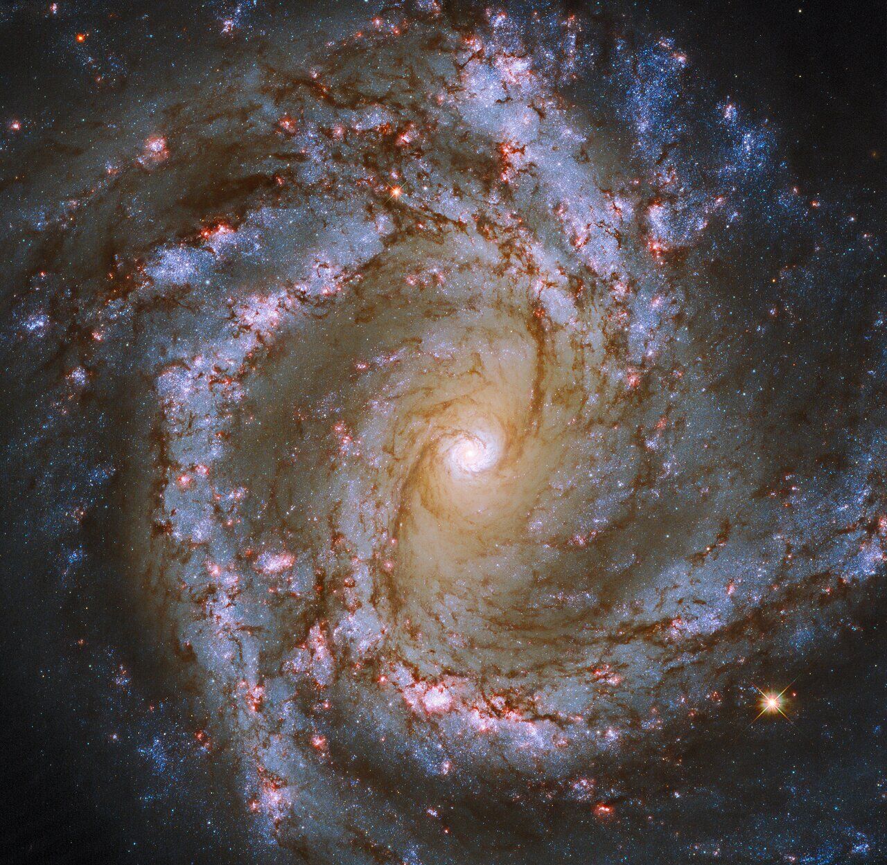 M61 Spiral Galaxy