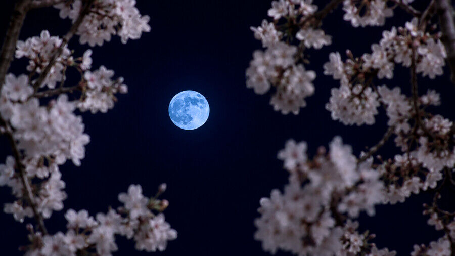 A Micro Blue Moon Will Rise Across the World on May 31, 2026