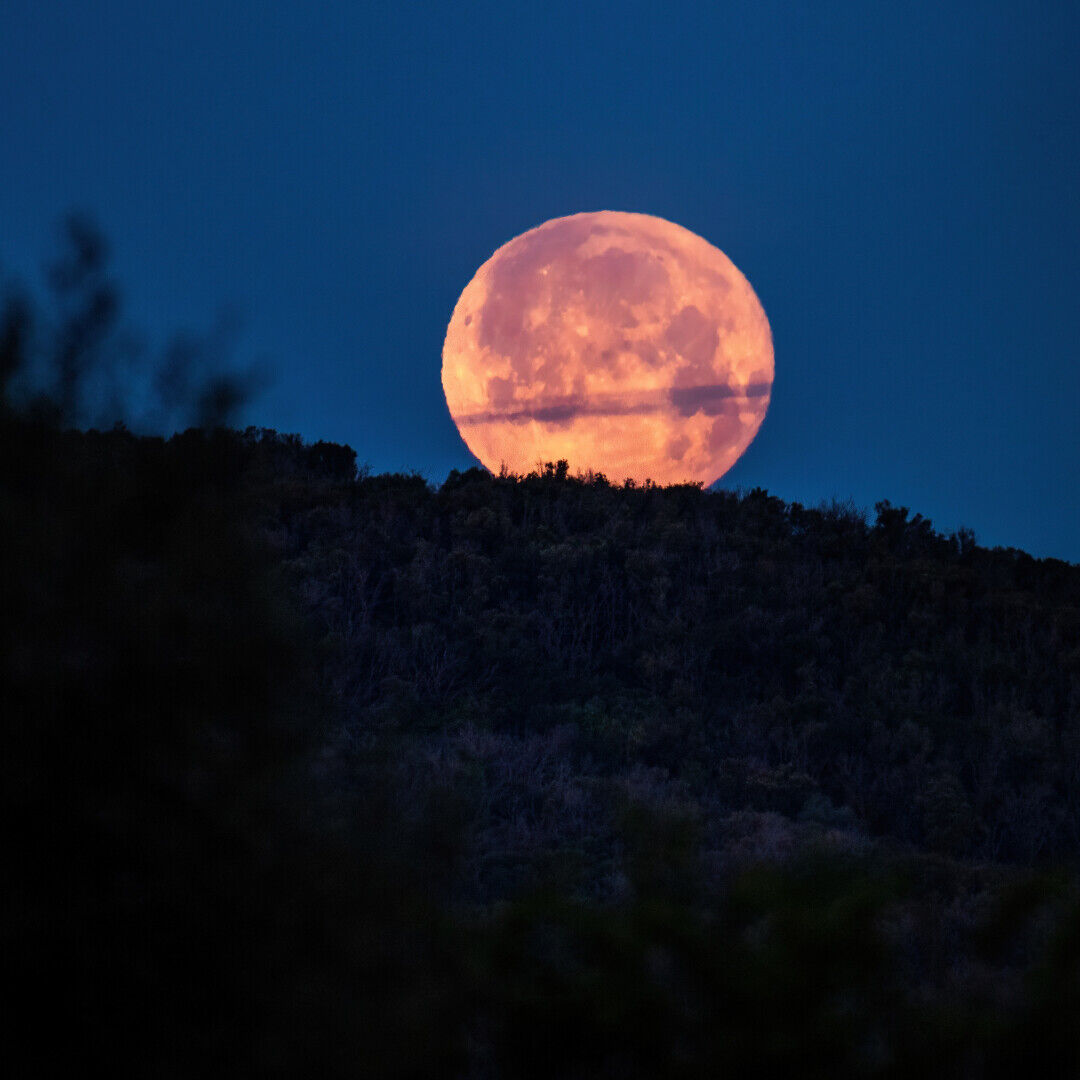 A Micro Flower Moon will rise across the world on May 1, 2026