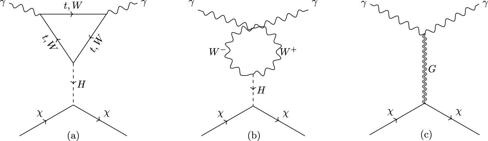 Dark Matter-Photon scattering diagrams